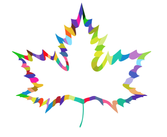 A multi-coloured outline of a maple leaf.